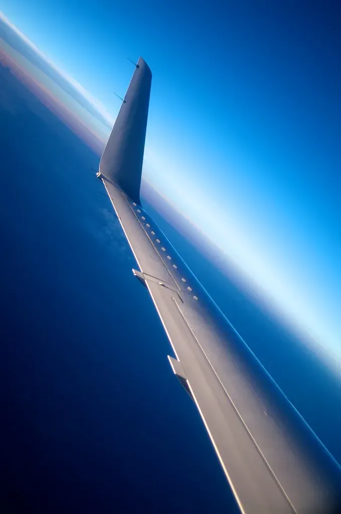 6. Tomato Juice - Beloved by Passengers, Puzzling to the Crew (Image Credits: Flickr)