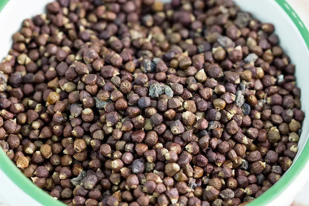 6. Grains of Paradise - Pepper's Forgotten, More Interesting Cousin (shaddiii, Flickr, CC BY-SA 2.0)