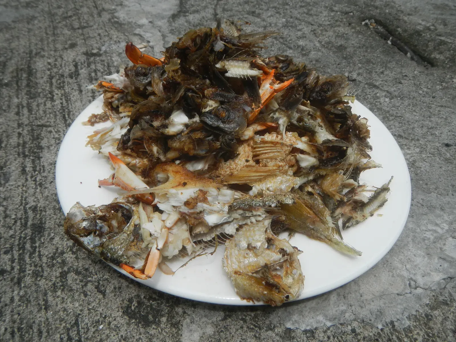 1. Meat and Fish Scraps (Image Credits: Wikimedia)