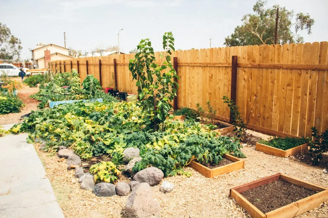 Myth Four: Community Gardens Don't Have Legal Obligations or Liability Issues (Image Credits: Unsplash)