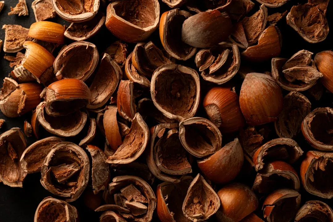 Nut Shells and Seeds Must Be Diverted (Image Credits: Unsplash)