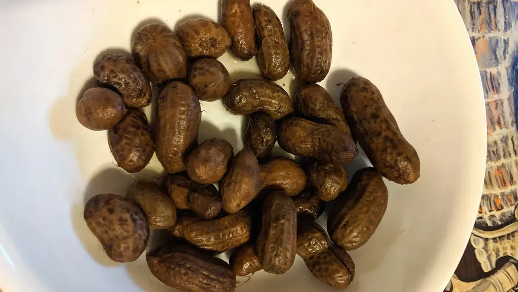 2. Boiled Peanuts: The Roadside Snack That Confuses Everyone Else (Image Credits: Flickr)