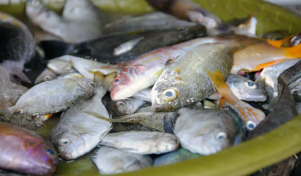 The Mercury Problem You Can't Ignore (Image Credits: Flickr)