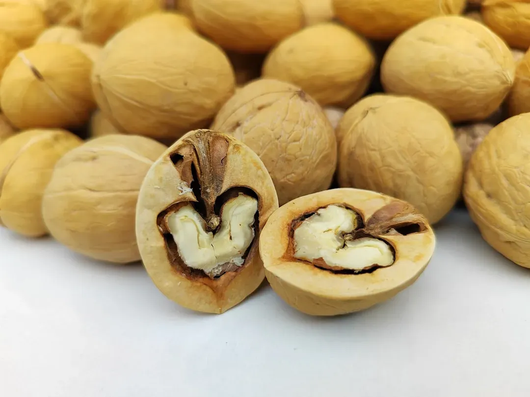 6. Walnuts: The Brainy Nut With a Heart of Gold (Image Credits: Unsplash)