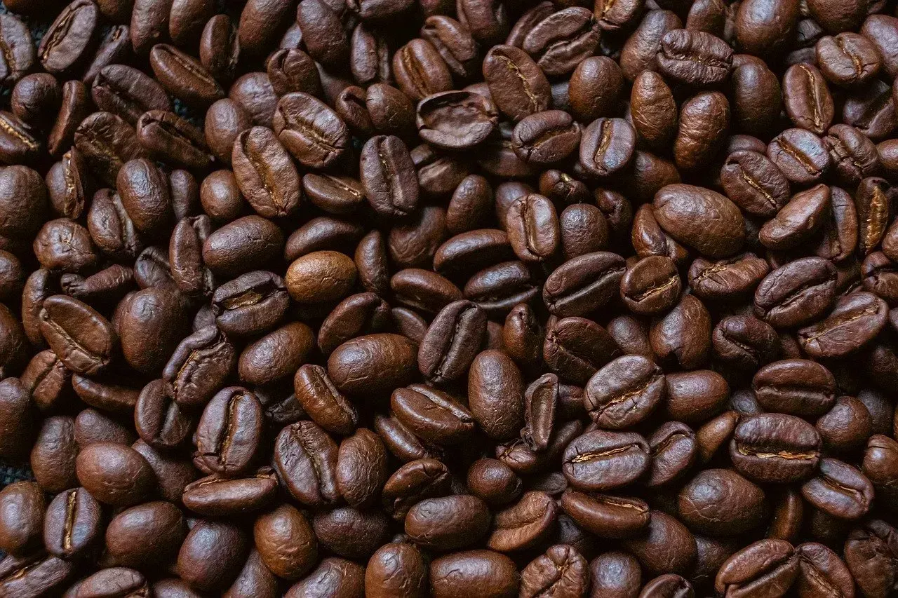 1. Arabica Coffee: The Star That Could Go Dark (Image Credits: Pixabay)