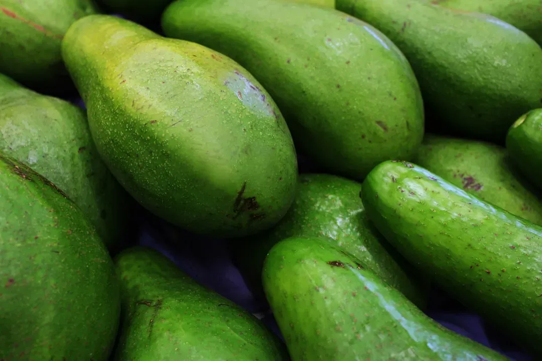 6. Avocados (Image Credits: Unsplash)
