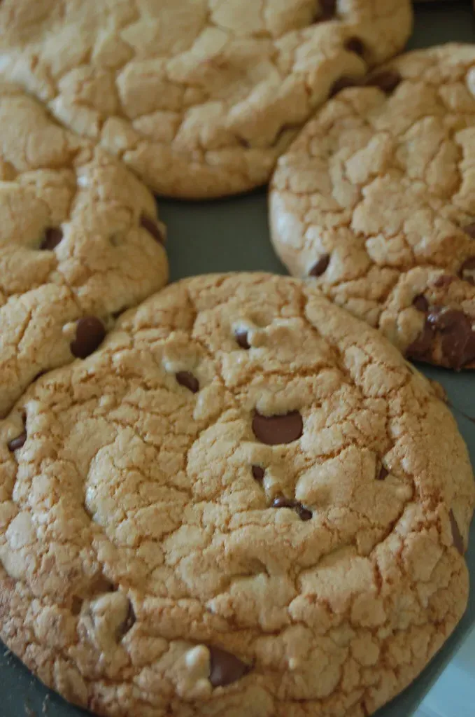 High-Quality Cookies Still Hit the Spot (Image Credits: Flickr)