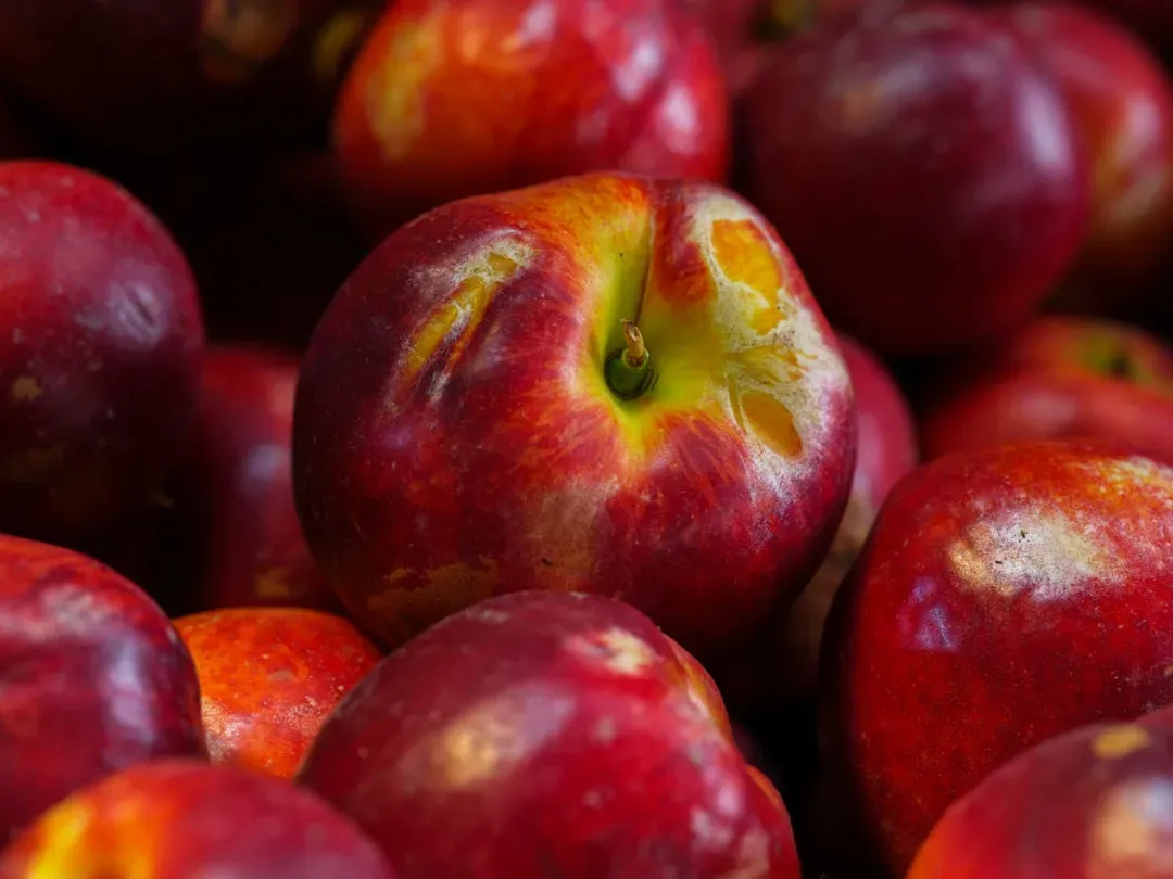 5. Nectarines (Image Credits: Unsplash)