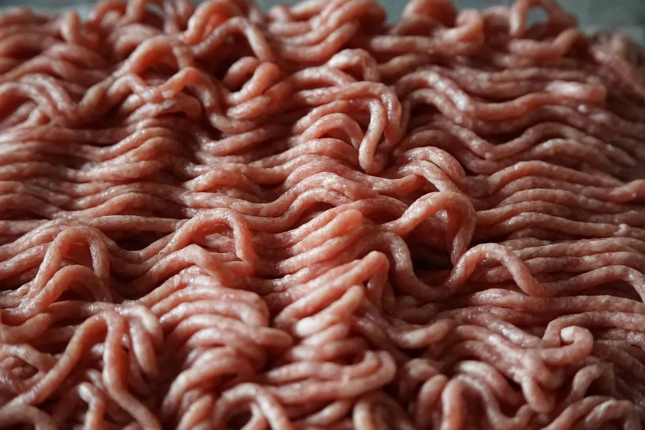 3. Ground Beef: The E. Coli Express (Image Credits: Pixabay)