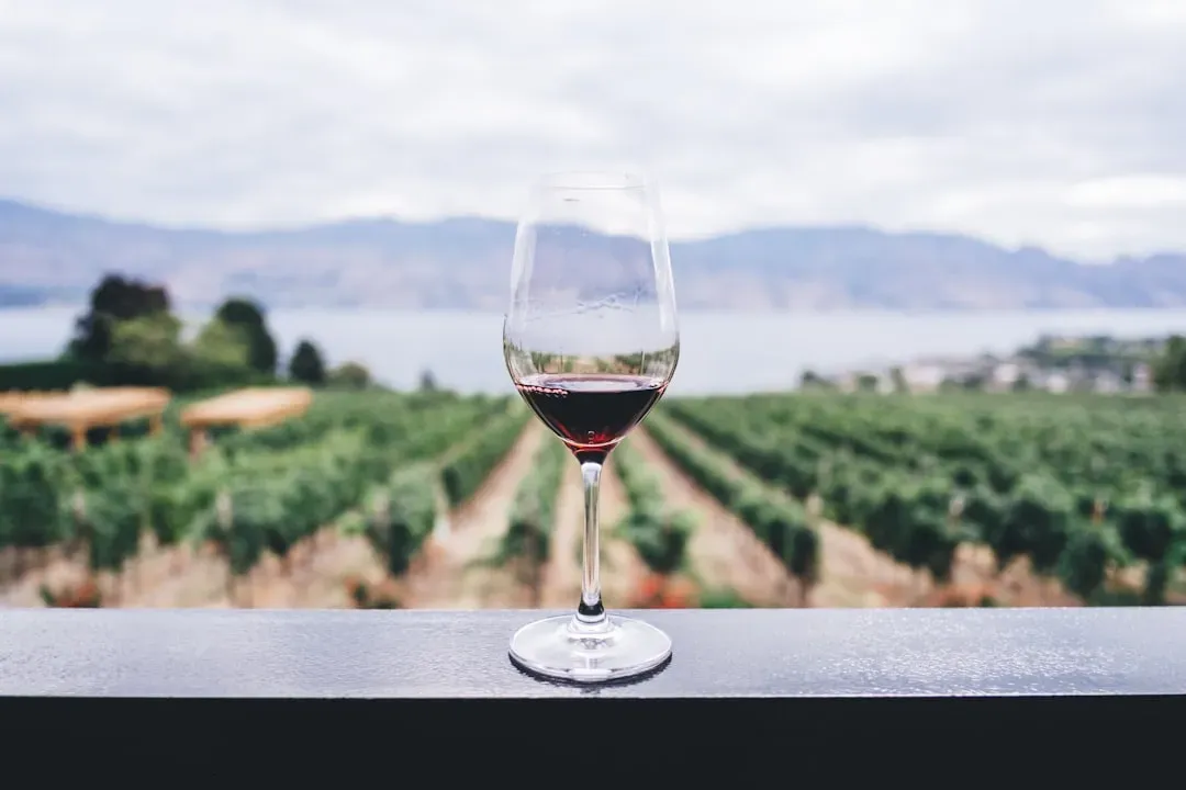 Wine: A 60-Year Production Low and a Shrinking Map (Image Credits: Unsplash)