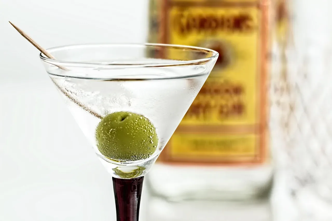 5. The Gin 50/50 Martini - The Vermouth Rehabilitation Project (Image Credits: Pixabay)