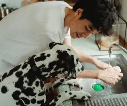 Salmonella, C. difficile, and Their Nightly Visit to Your Pillow (Image Credits: Pexels)