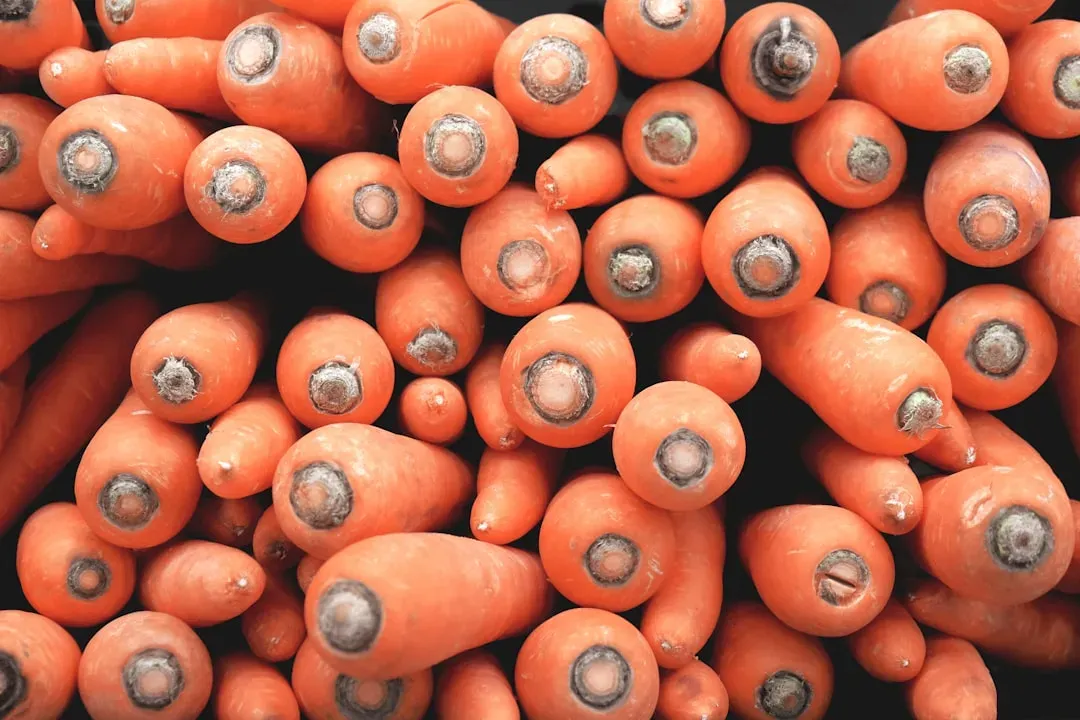 7. Carrots and Potatoes Are Stored for Months Before Sale (Image Credits: Unsplash)