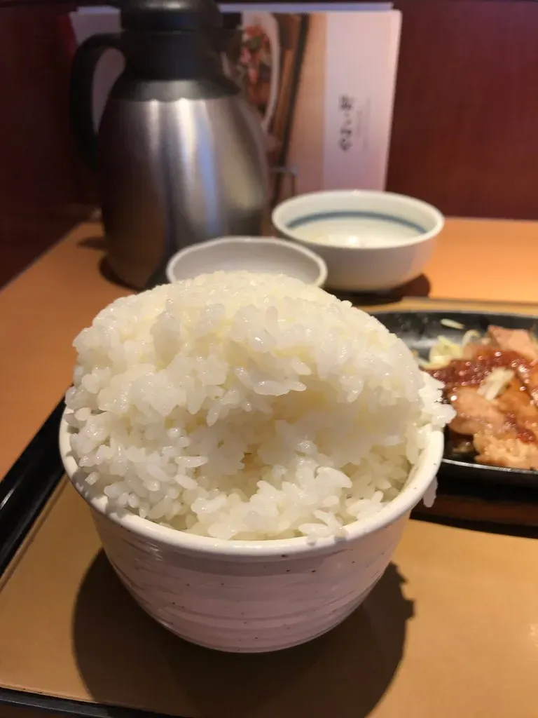 Rice: The Sneaky Bacterial Time Bomb (Image Credits: Flickr)