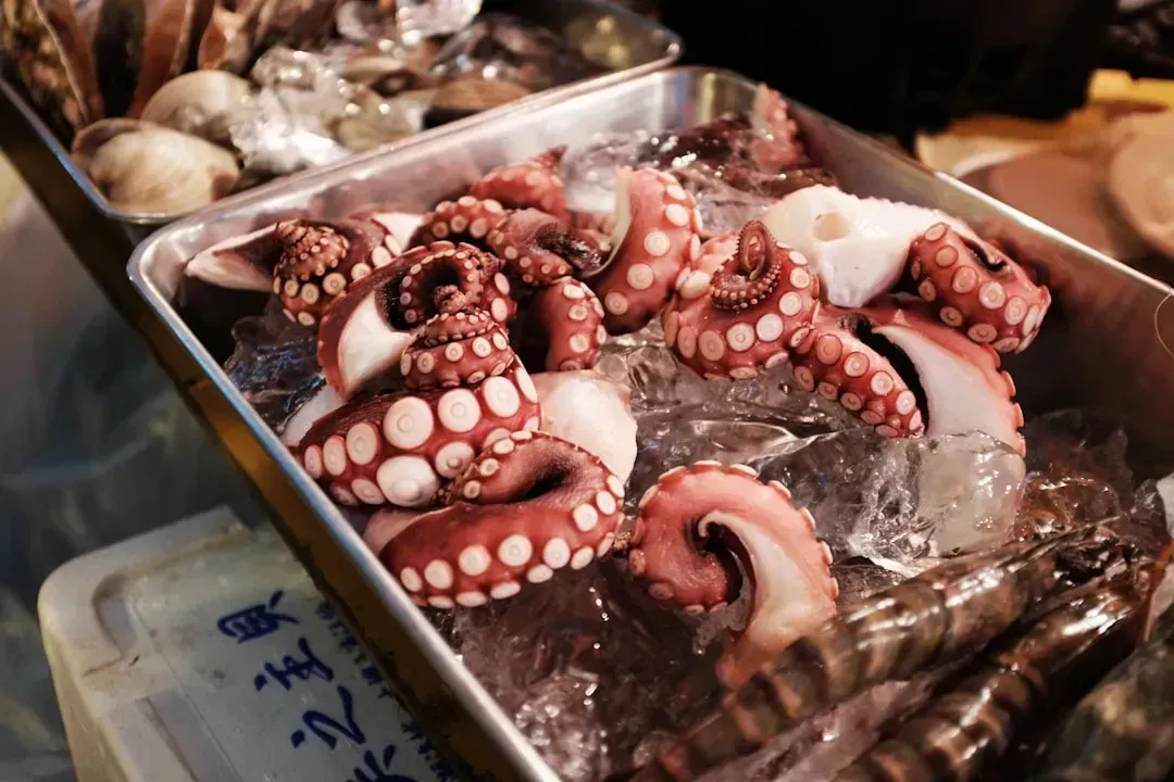 4. Sannakji: South Korea's Still-Moving Live Octopus (Image Credits: Unsplash)