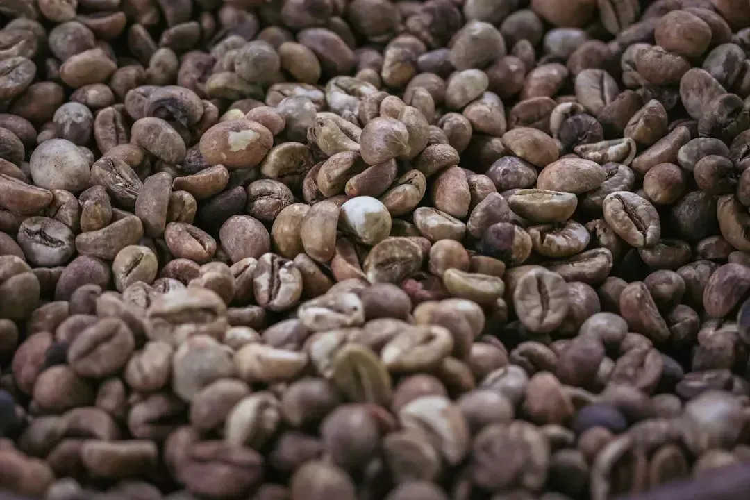 3. Kopi Luwak - The World's Most Controversial Coffee (Image Credits: Unsplash)