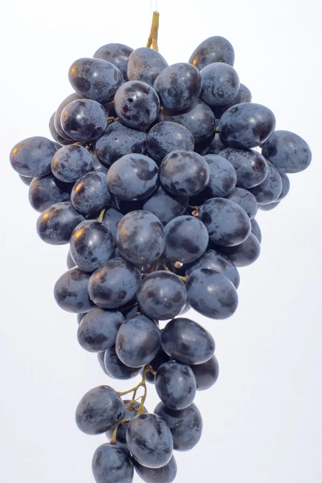 4. Grapes and Raisins - Tiny Fruits With Terrifying Consequences (Image Credits: Unsplash)