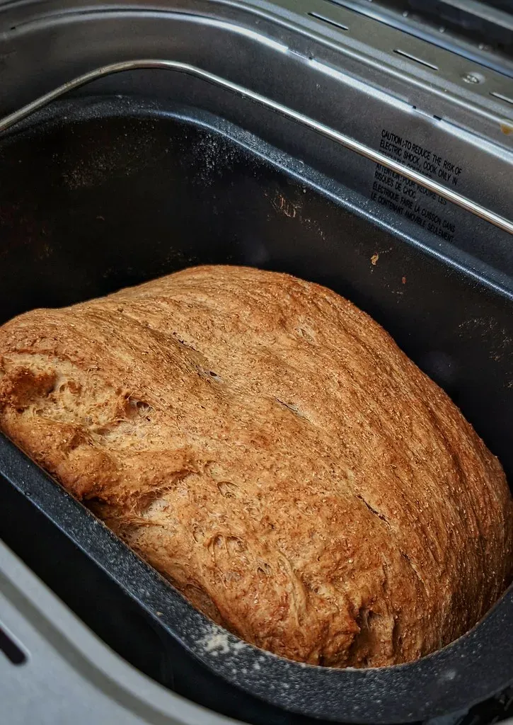 Bread Makers Gathering Cobwebs (Image Credits: Flickr)