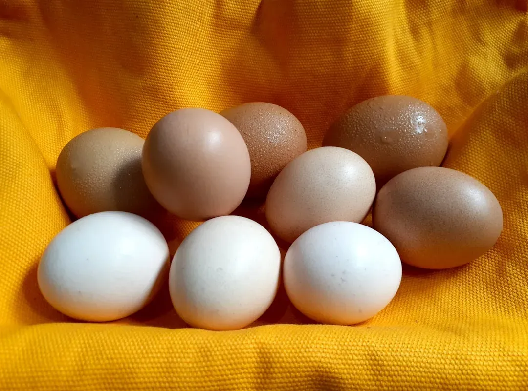 Organic Dairy, Eggs, and the "Worth It" Calculus (Image Credits: Unsplash)