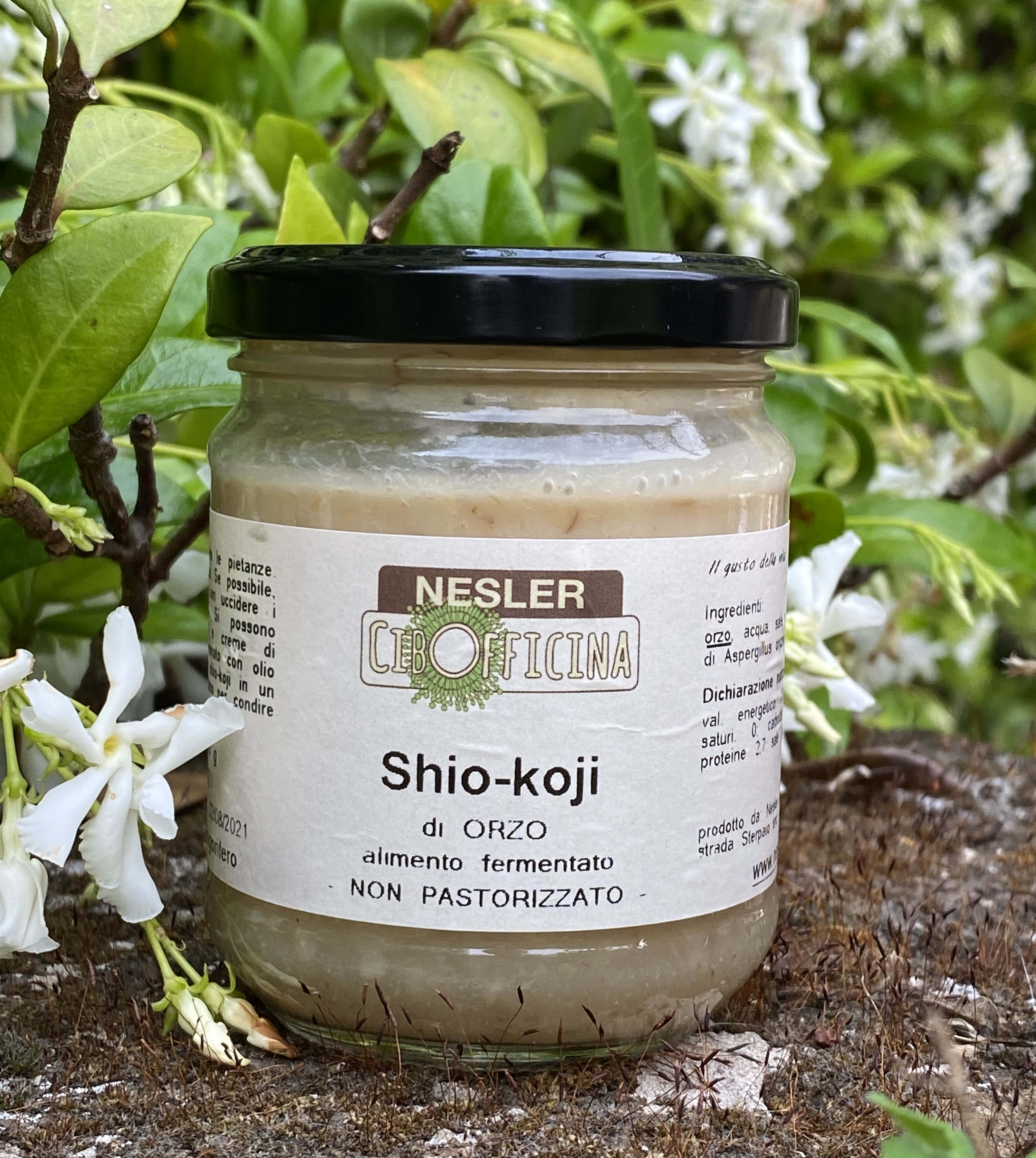 Shio Koji: The Liquid Enzyme Miracle (Image Credits: Wikimedia)