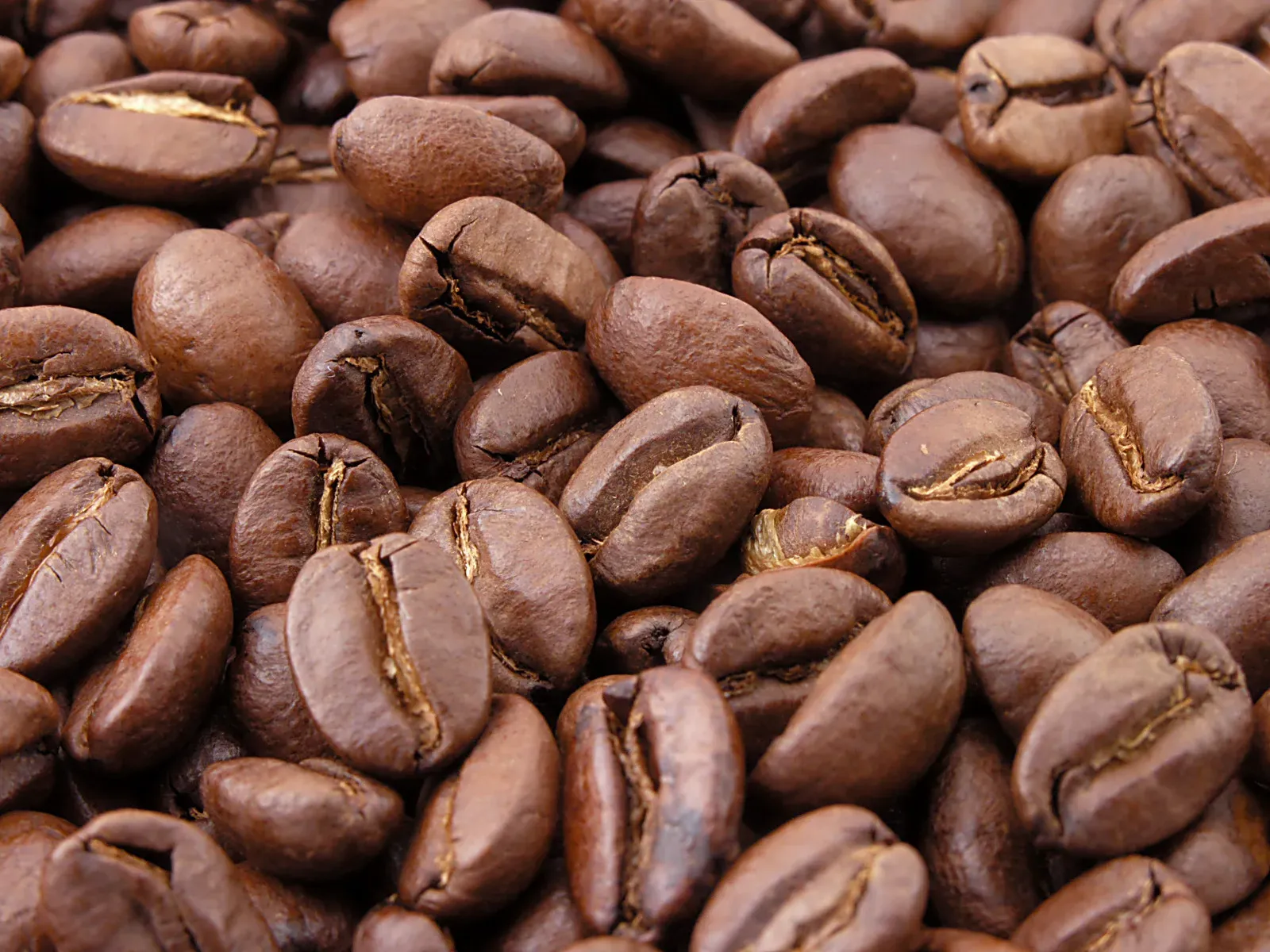 Coffee (Image Credits: Wikimedia)