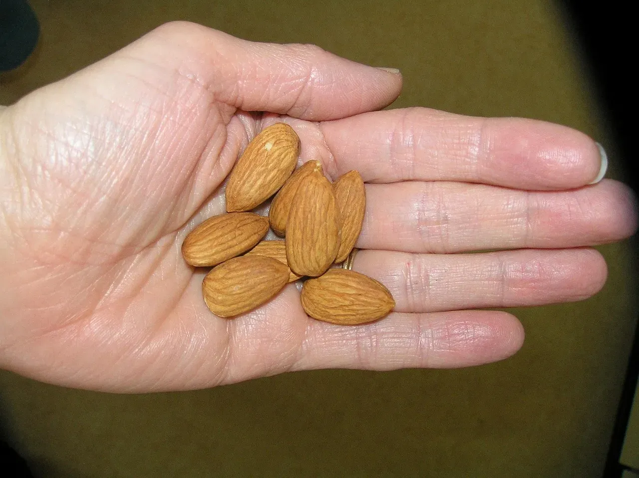 Snack #2: A Handful of Almonds - Small But Mighty (Image Credits: Pixabay)