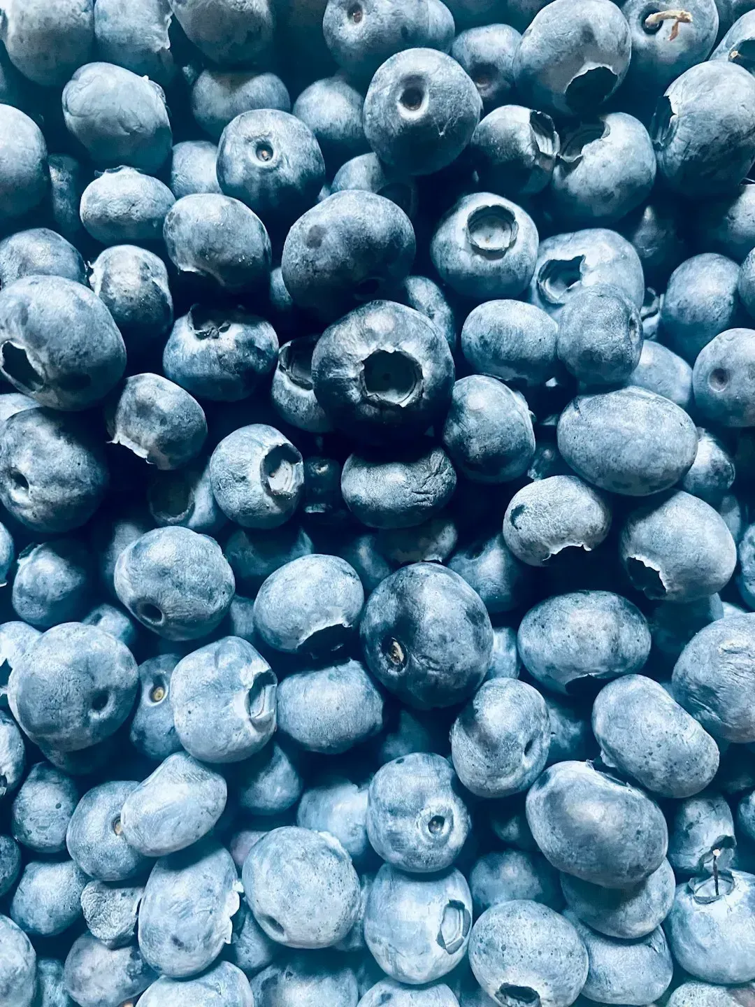 1. Blueberries: The Tiny Blue Powerhouse (Image Credits: Unsplash)