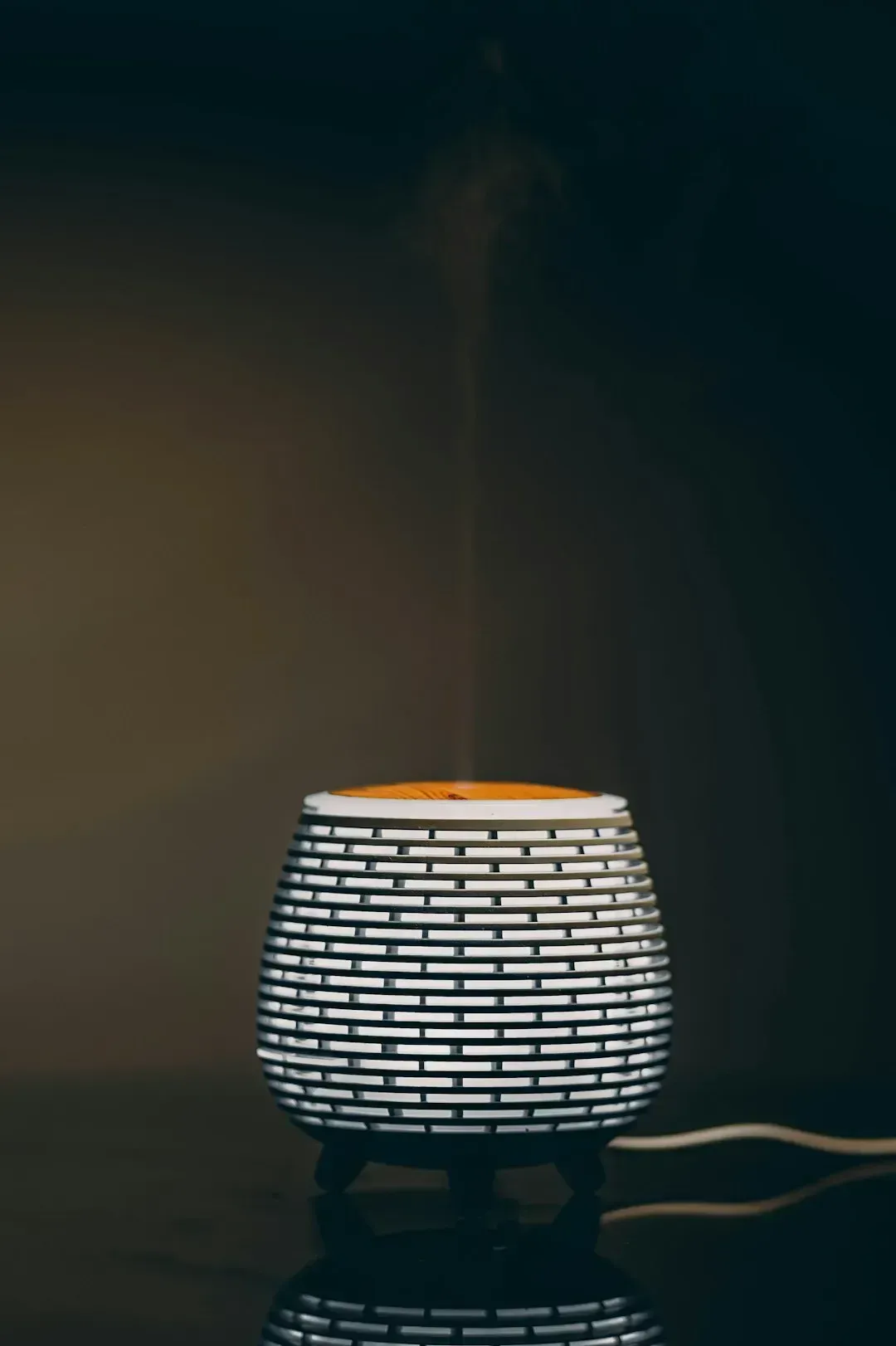 4. Quality Diffusers Are the Backbone of Consistent Home Scenting (Image Credits: Unsplash)