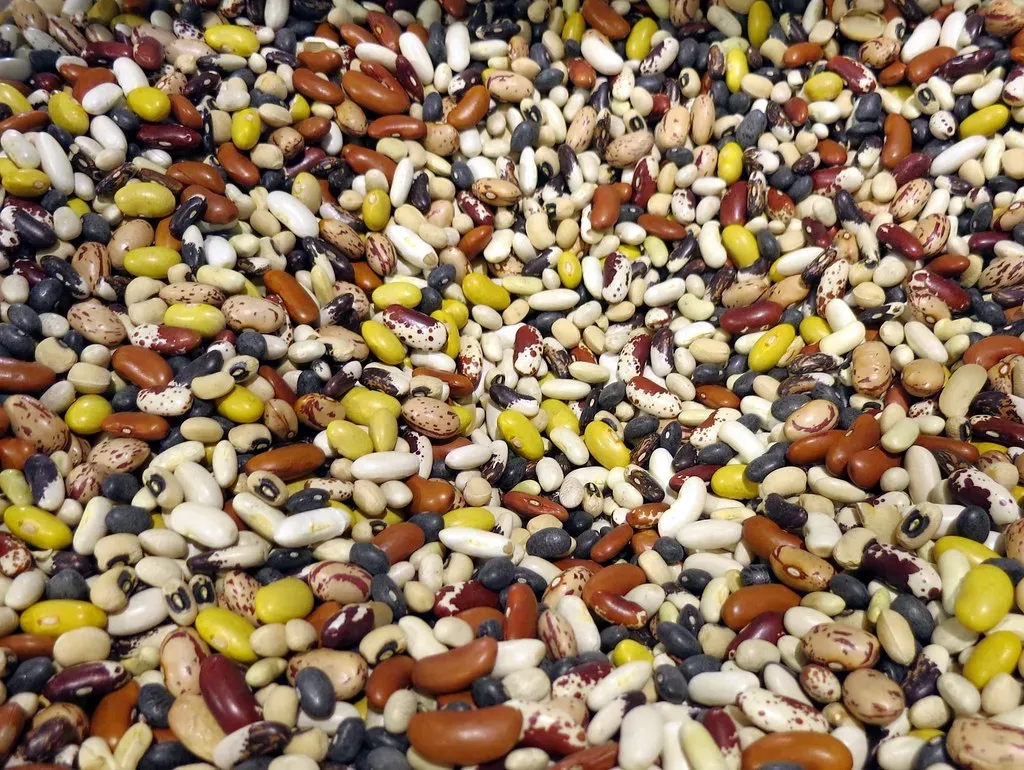 1. Dried Beans in Bulk (Ruth and Dave, Flickr, CC BY 2.0)