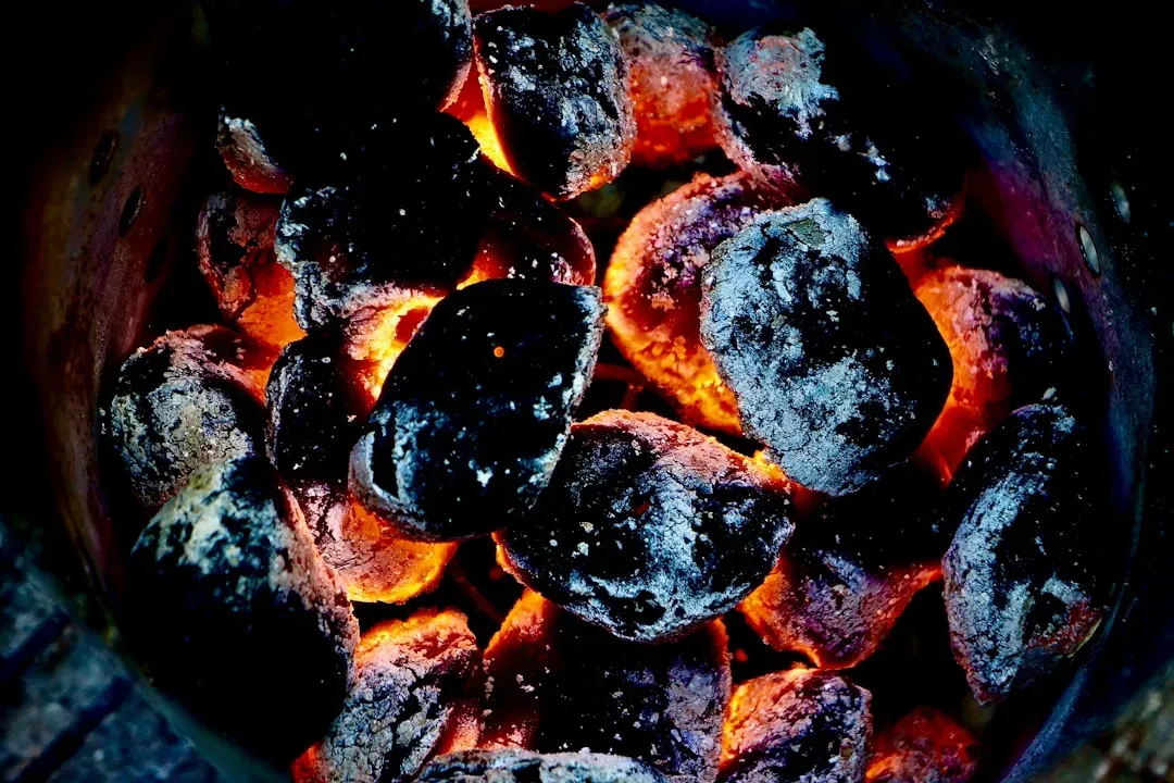 4. New Haven-Style: Coal-Fired Charred Perfection (Image Credits: Unsplash)