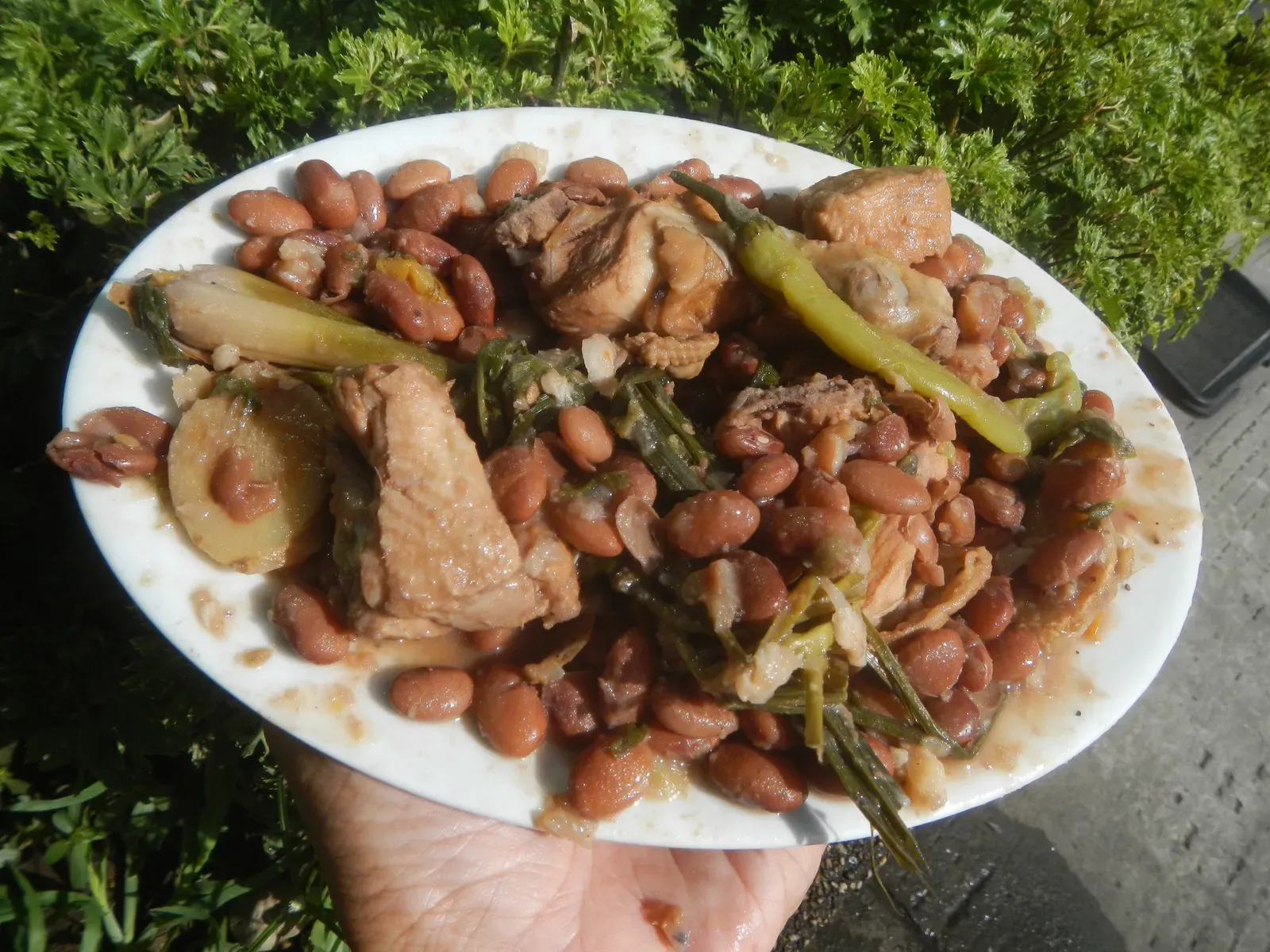 6. Ground Turkey and White Bean Stew (Image Credits: Wikimedia)