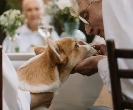 5. You Talk to Them Like a Person - and Actually Expect a Response (Image Credits: Pexels)