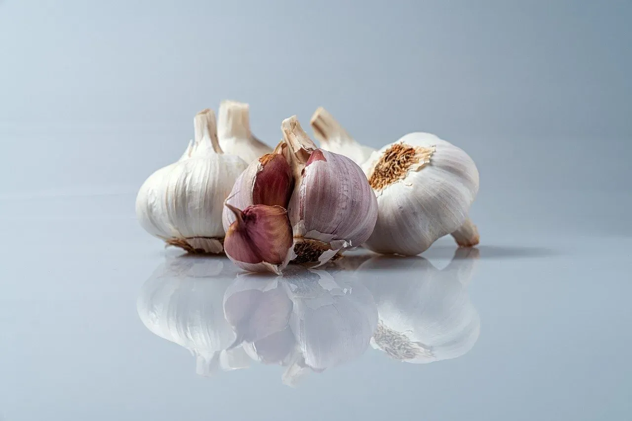 1. Garlic - Nature's Original Antibiotic (Image Credits: Pixabay)