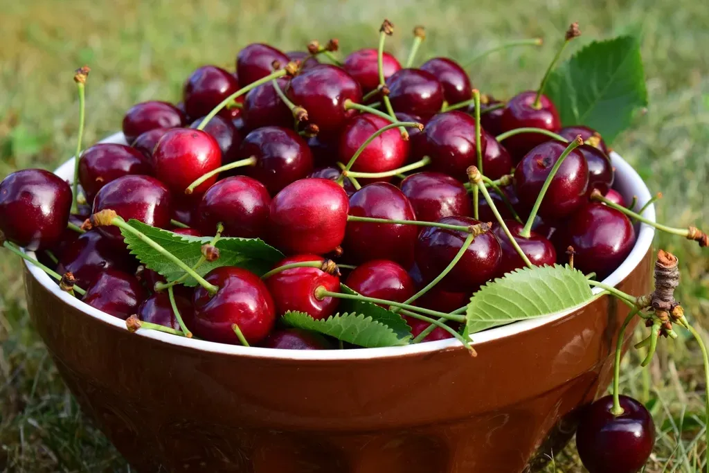 3. Cherries (Image Credits: Rawpixel)