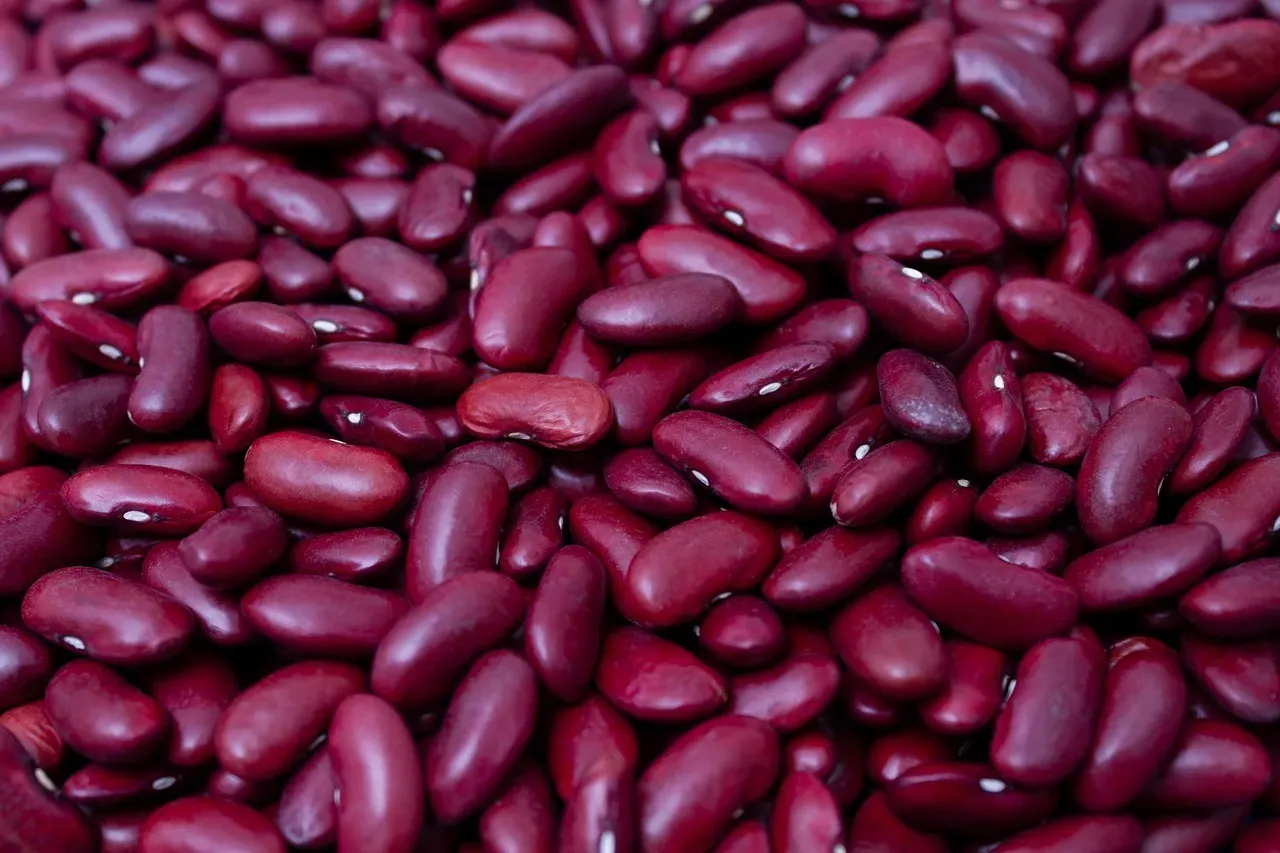 7. Kidney Beans: The Unexpected Toxin Bomb (Image Credits: Pixabay)