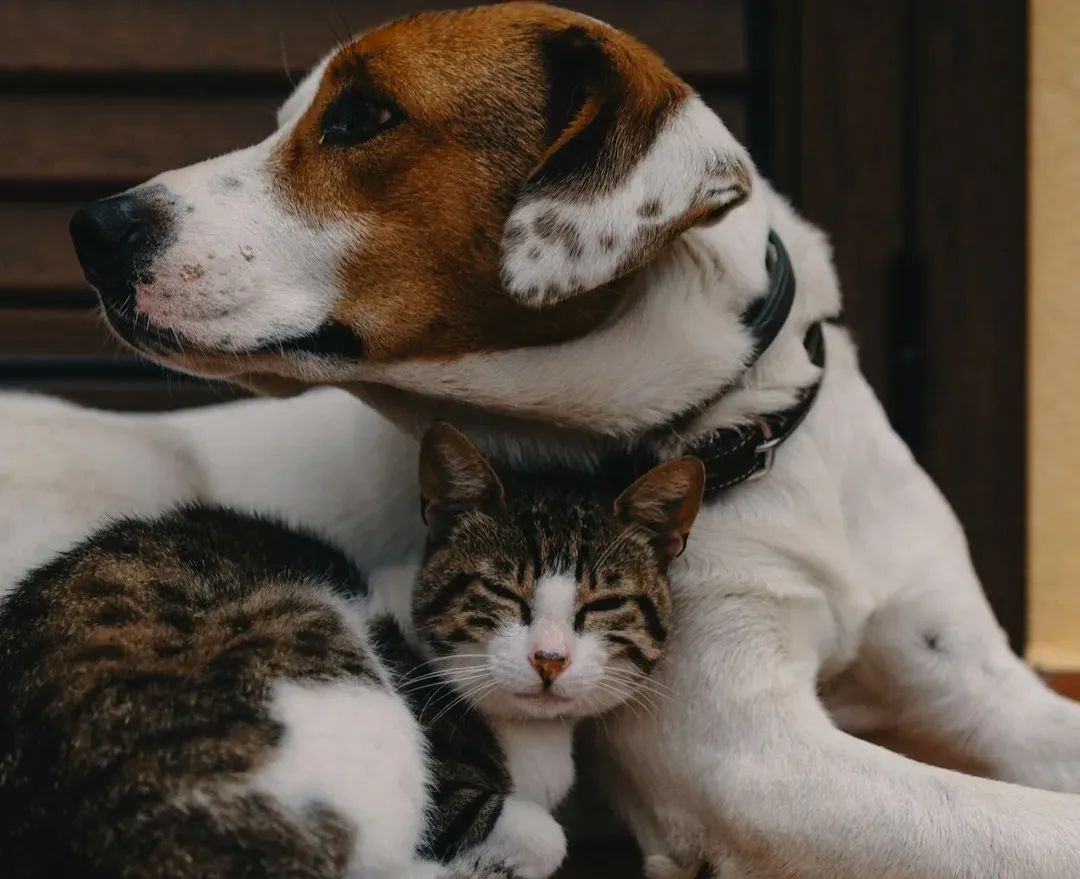 Conclusion: The Paper That Costs $32 a Month Could Save Everything (Image Credits: Unsplash)