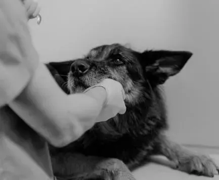 The Numbers Are Staggering, and Most People Have No Idea (Image Credits: Pexels)