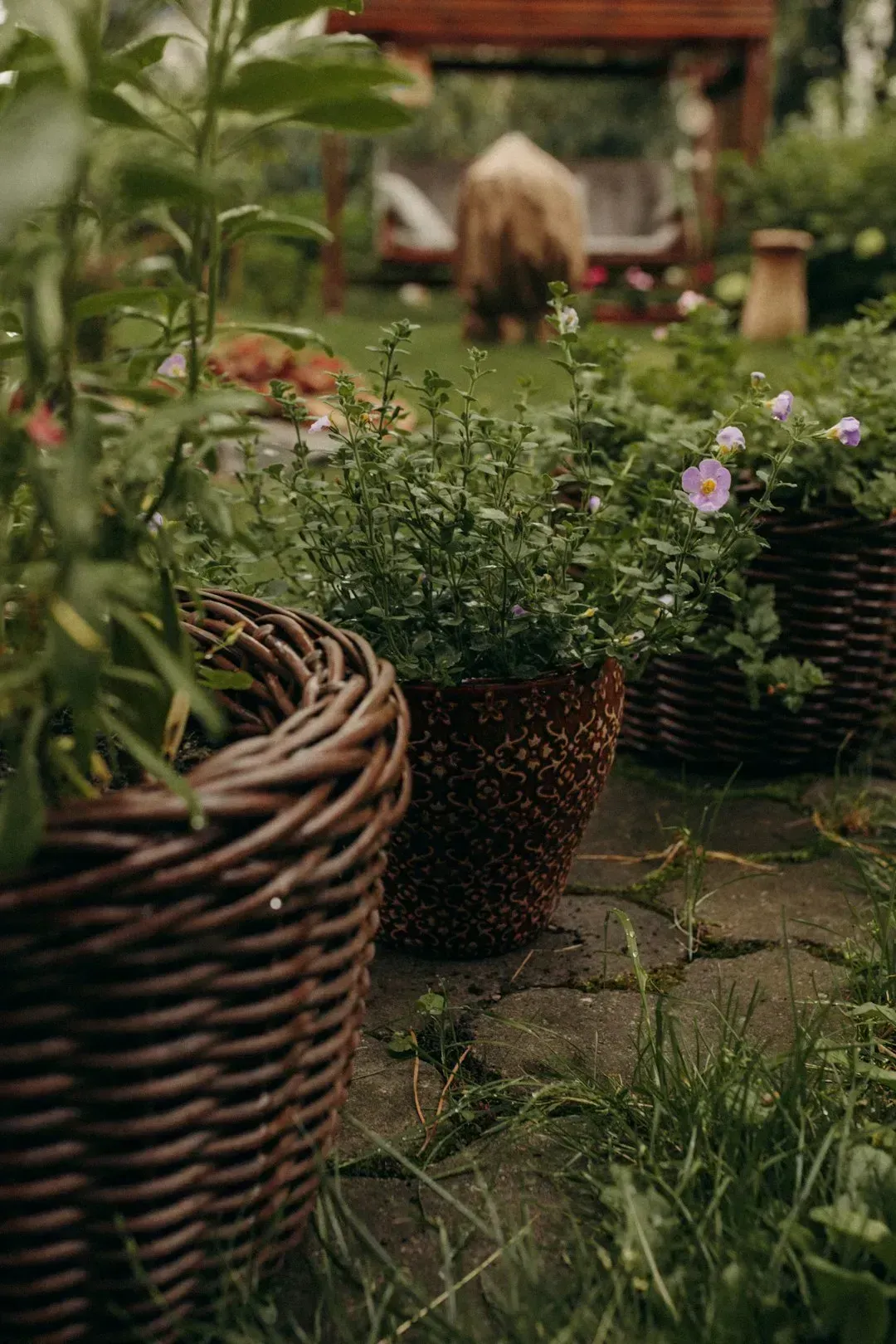 15. Growing Food at Home and Joining Community Programs (Image Credits: Unsplash)