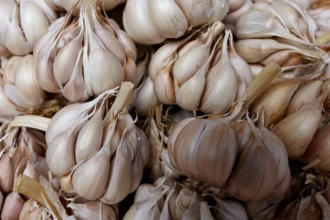 4. Garlic (Image Credits: Unsplash)