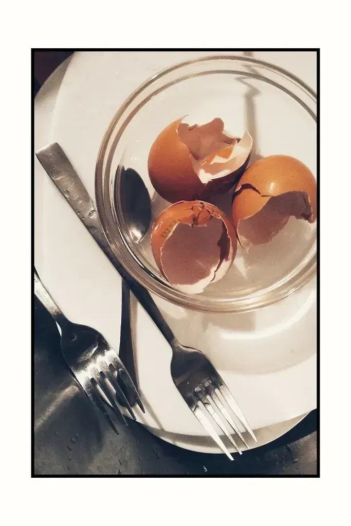 5. Eggshells (rossomoto, Flickr, CC BY 2.0)