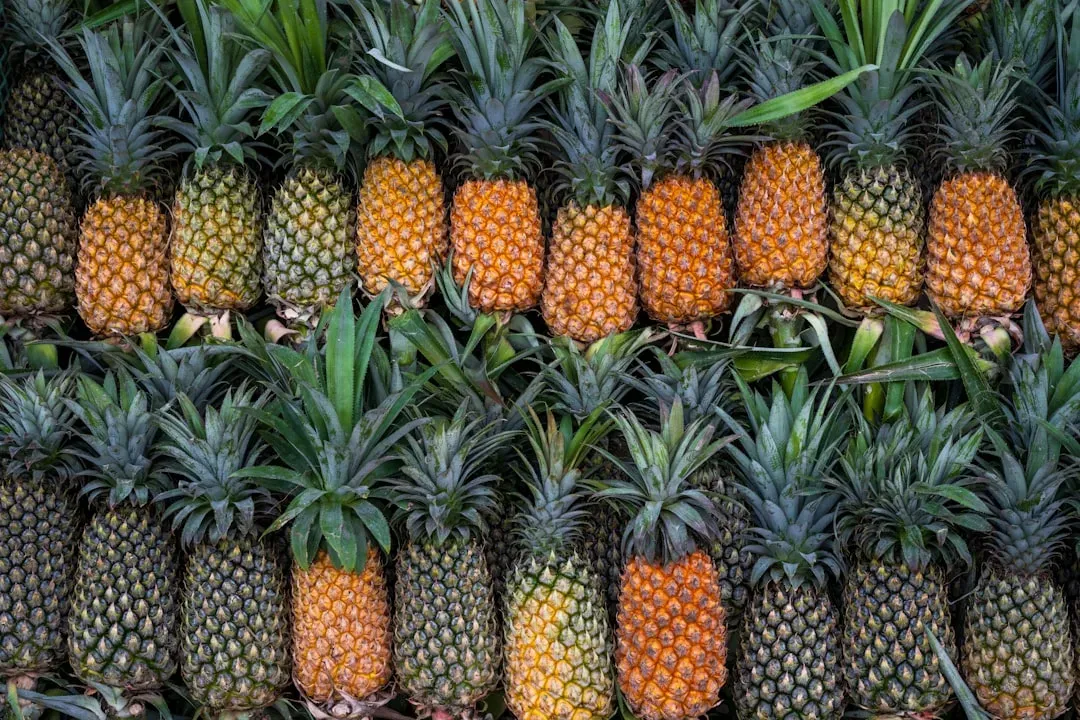 A Fruit Born in the Jungle: The Remarkable Origin of Pineapple (Image Credits: Unsplash)
