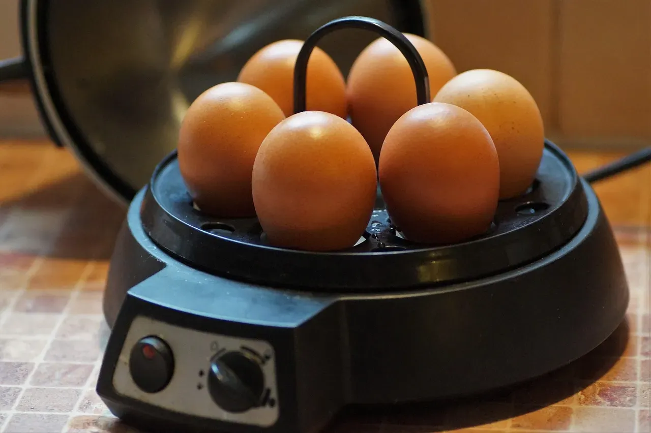 3. The Electric Egg Cooker: A Gadget That Does One Thing Too Few (Image Credits: Pixabay)