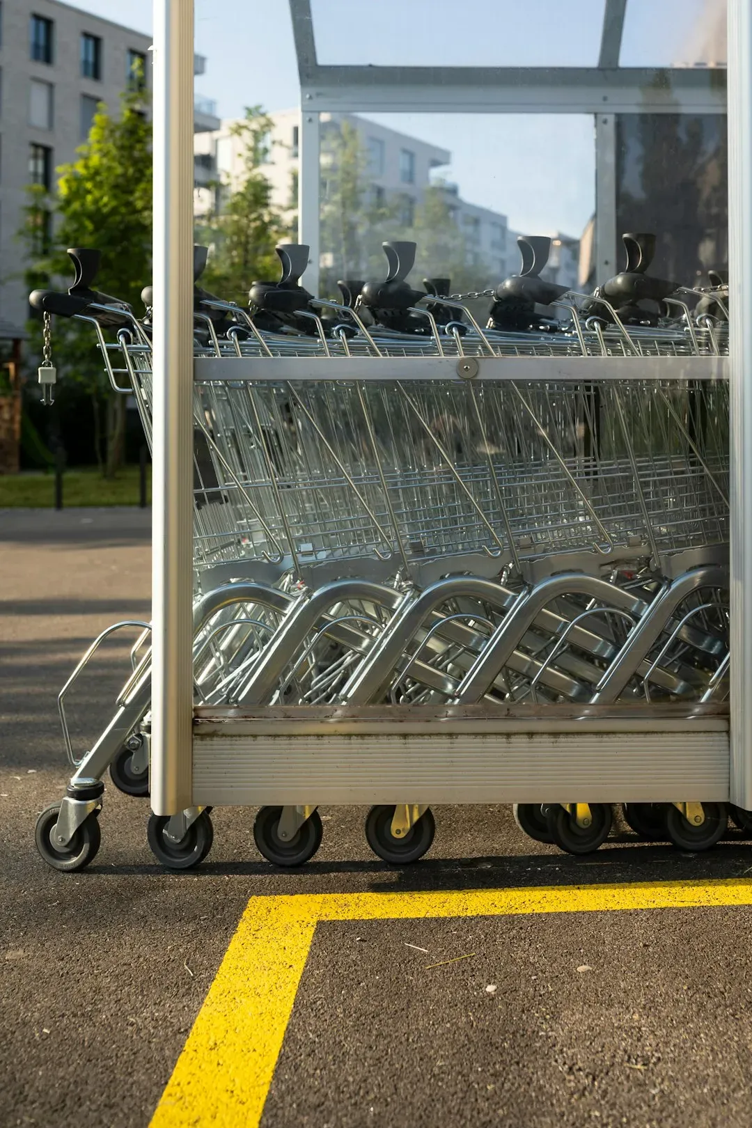 Cart Partitions: The Divider That Guides Your Whole Shop (Image Credits: Unsplash)