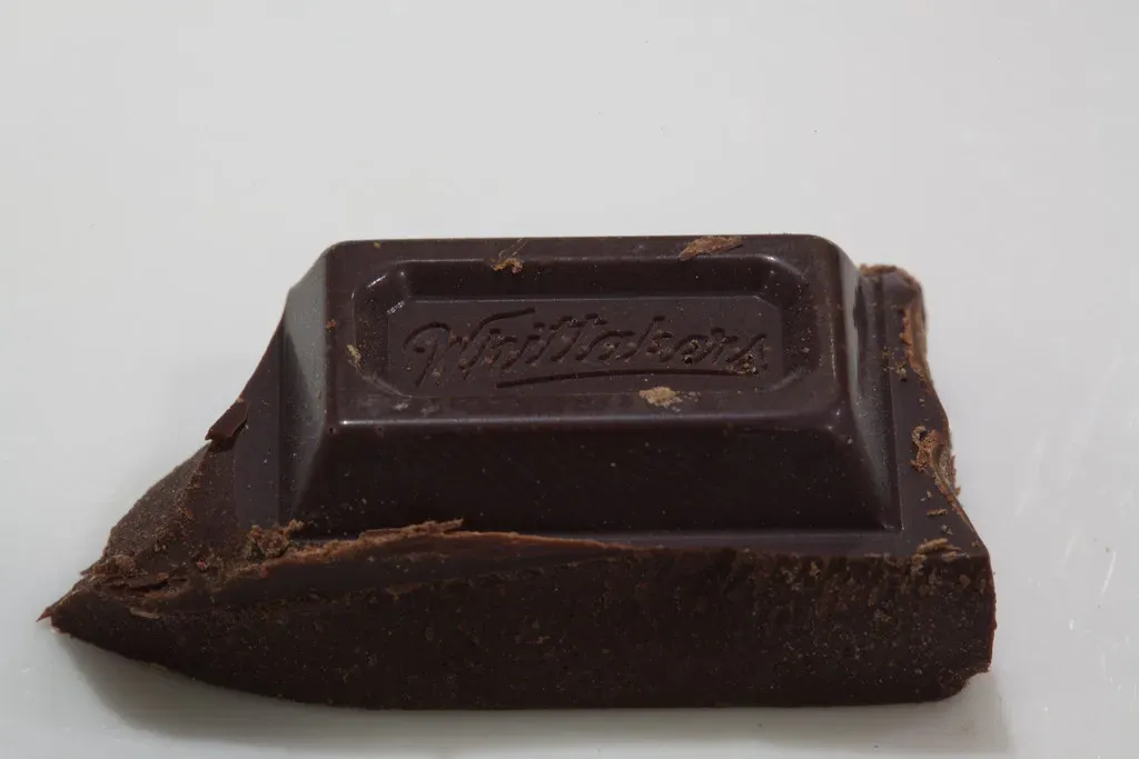 2. Chocolate - The Classic Danger That Still Catches Pet Owners Off Guard (Image Credits: Flickr)