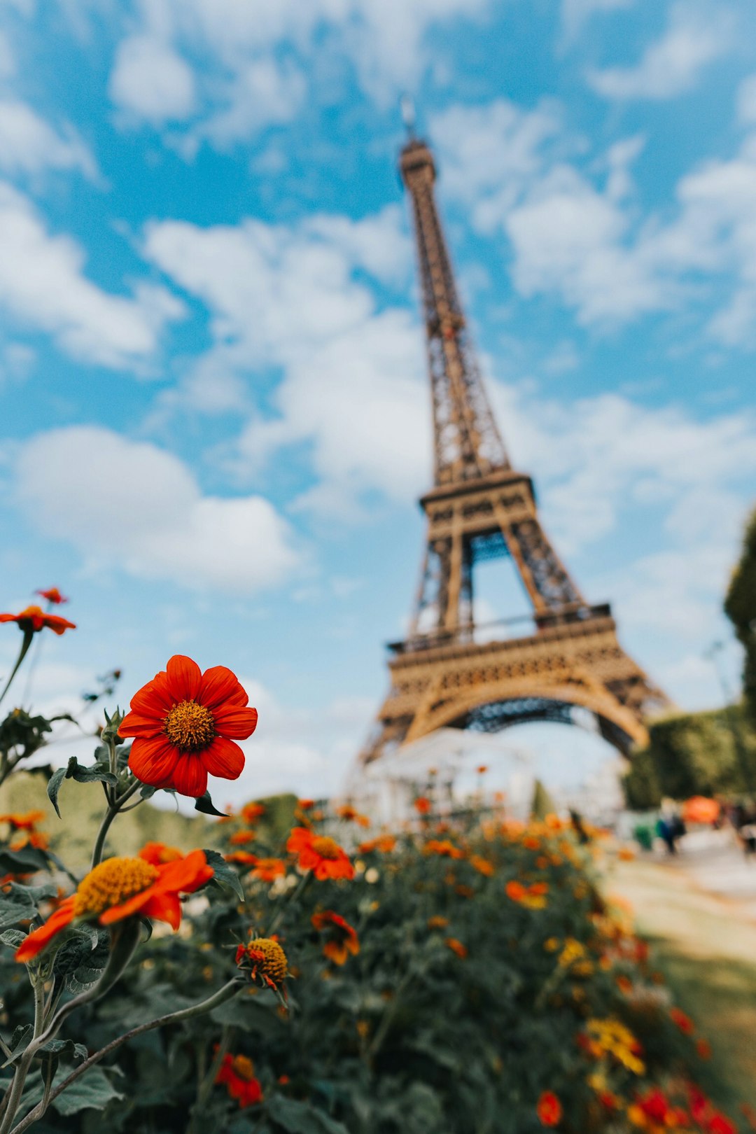 France: A Culture of Independence and Romance—But Not Always for Life (image credits: unsplash)
