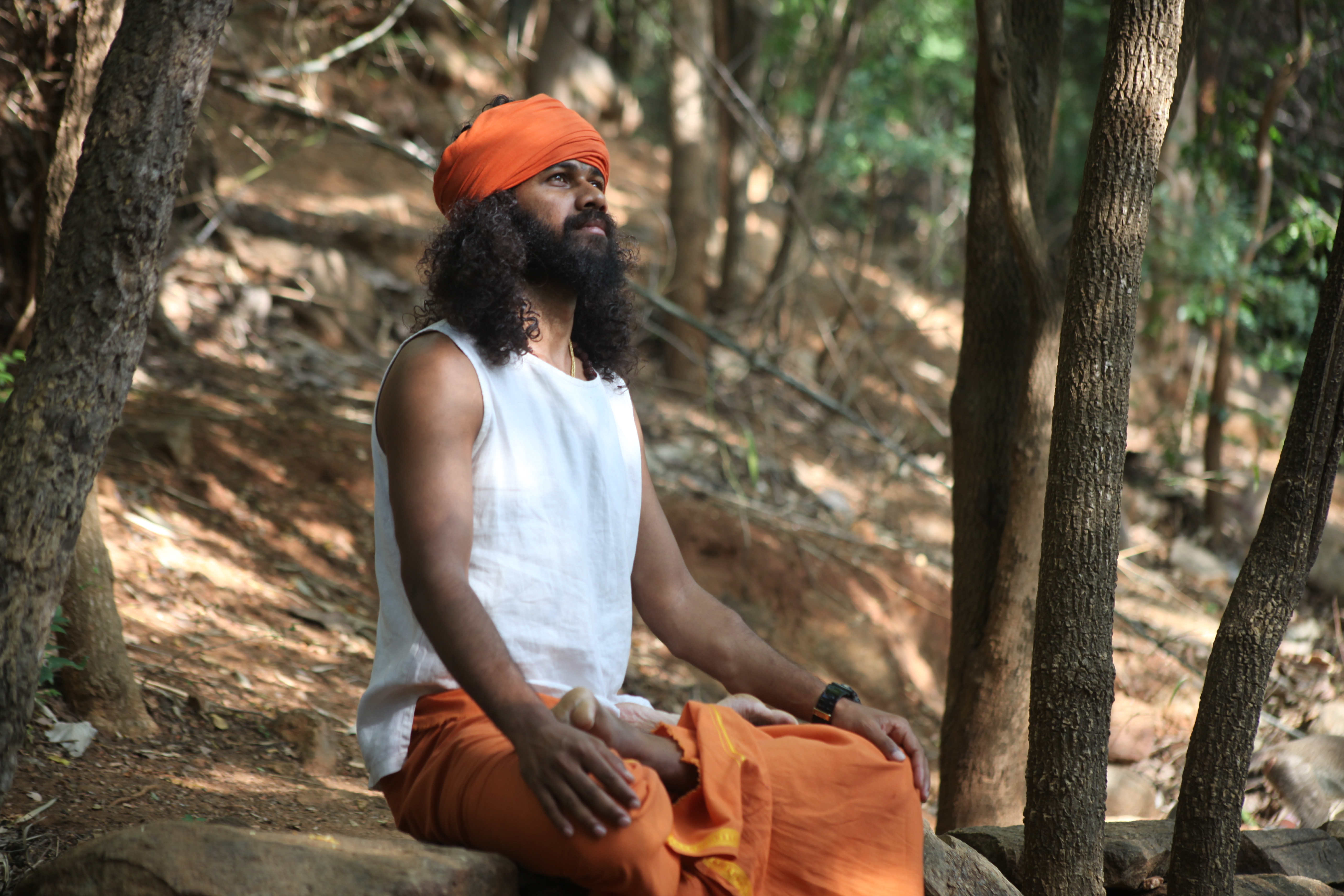 Authentic Mindfulness Practices (image credits: wikimedia)