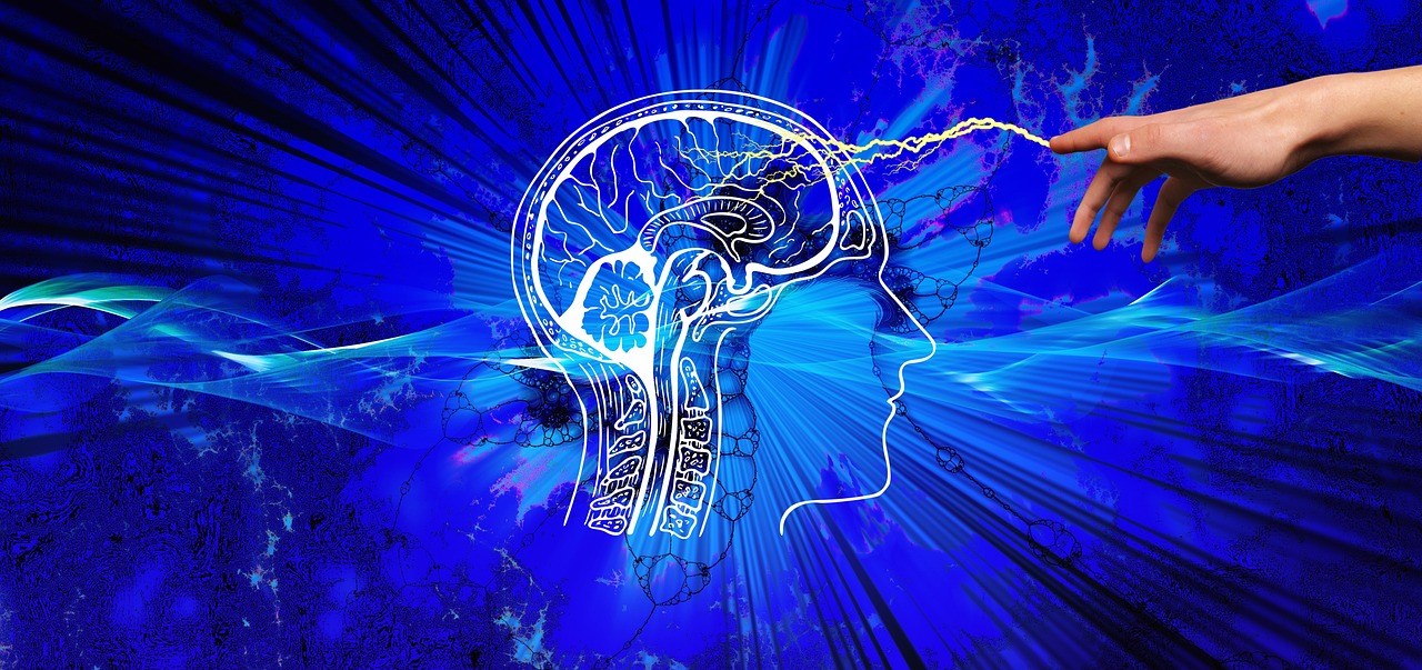 Enhanced Connectivity in the Brain (image credits: pixabay)