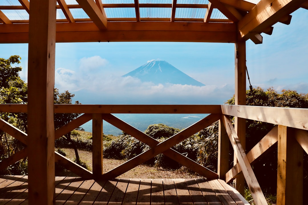 Japan's Mount Fuji Experiment Shows What's Coming (image credits: unsplash)