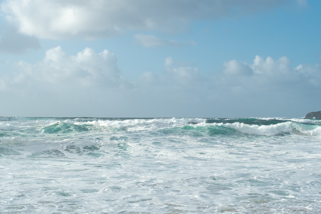 Historical Lessons From Nature's Archives (image credits: unsplash)