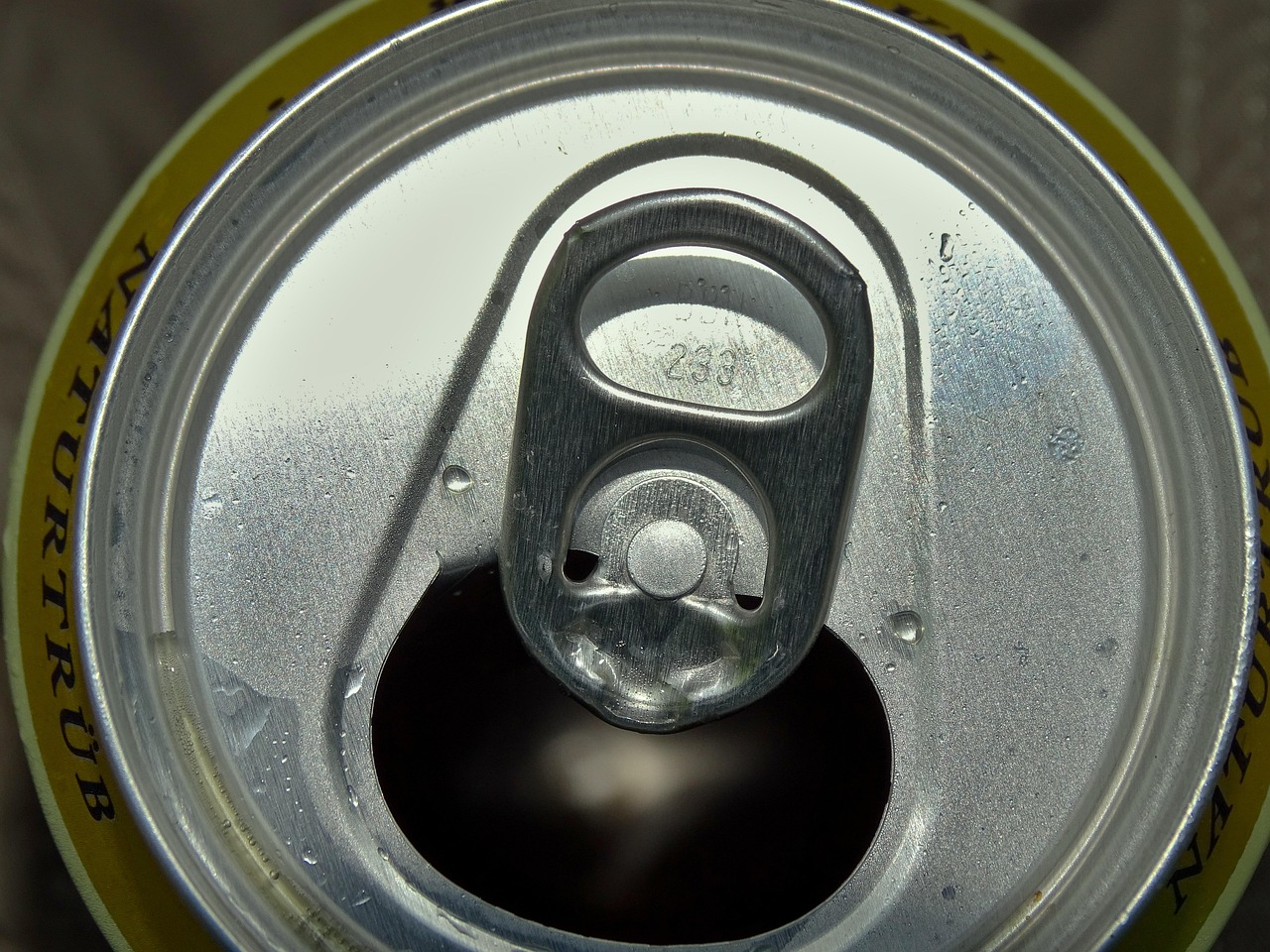Storing Open Cans in the Fridge (image credits: pixabay)